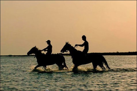 آت‌لان؛ روحی در جهانِ بی‌ روحِ سینما(ی ایران)